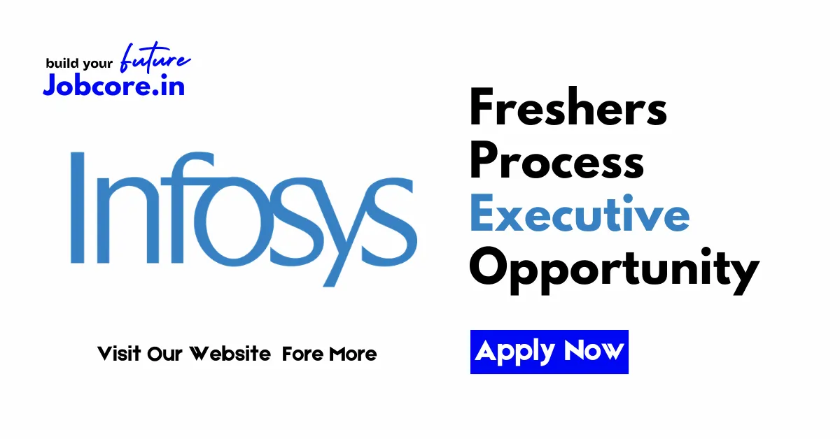 Freshers Process Executive